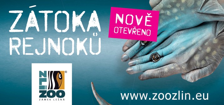 Zátoka rejnoků ZOO Zlín